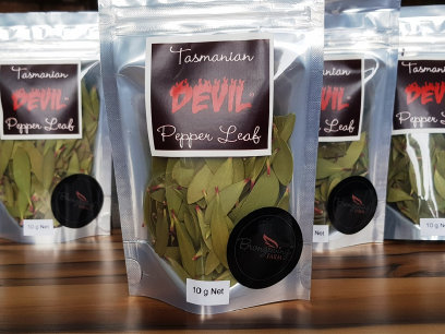 Packaged Tasmanian Mountain Pepper Leaf