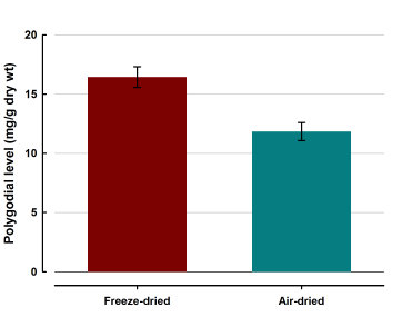 There is a loss of 'spicyness' when berries are air-dried